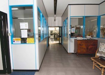 Hall / corridoio - Capannone Via Campagna
 
22, Sumirago - foto 21