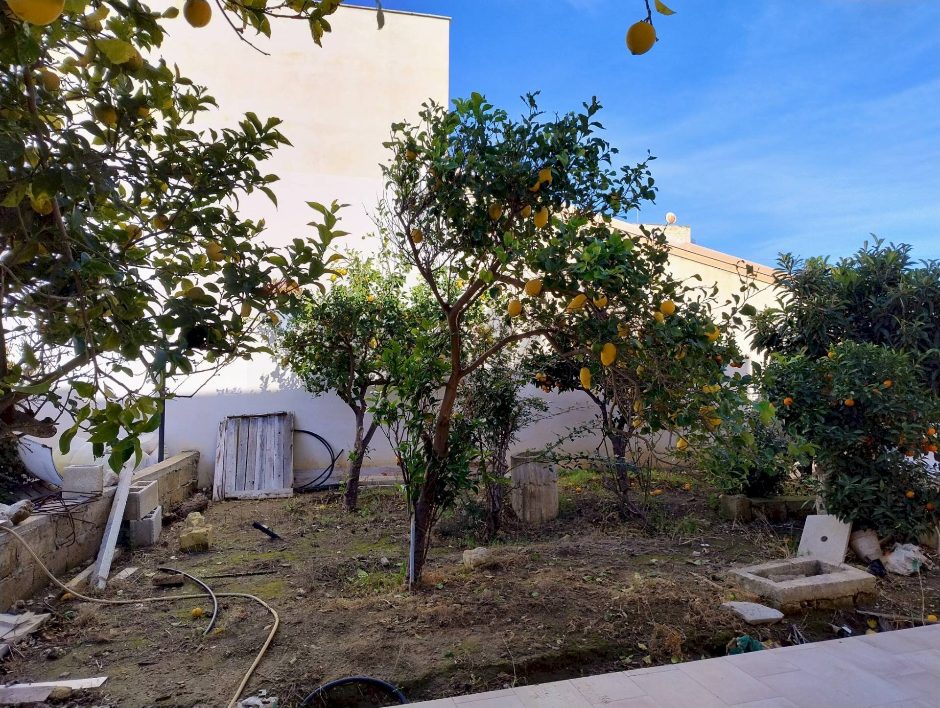 Giardino - Casa indipendente via del capitano, Scicli - foto 3