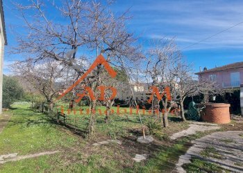 Foto 17 - Rustico via giuseppe toniolo campo, San Giuliano Terme - foto 17