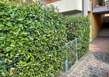 Foto 29 - Trilocale via Raimondo Vianello
 
2, Peschiera del Garda - foto 29
