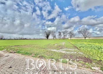 Foto 12 - Terreno edificabile SP22 KM 1.750, Marcianise - foto 12