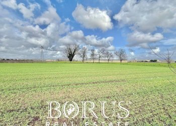 Foto 13 - Terreno edificabile SP22 KM 1.750, Marcianise - foto 13