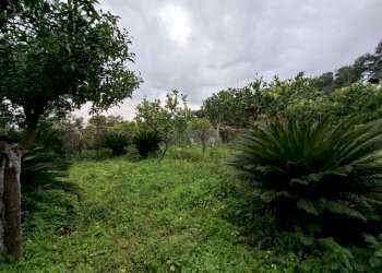 Foto 27 - Appartamento VIA BELLOMO
 
7, Caserta - foto 27