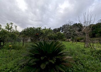 Foto 32 - Appartamento VIA BELLOMO
 
7, Caserta - foto 32