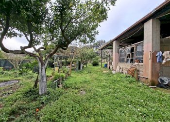 Foto 34 - Appartamento VIA BELLOMO
 
7, Caserta - foto 34