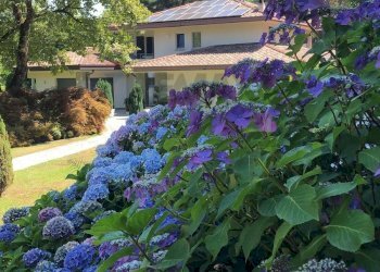 Giardino - Villa Via Cascina Pelada
 
115, Cantù - foto 9