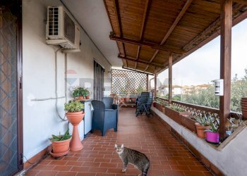 Terrazza - Appartamento Via Paolo Pericoli
 
113, Roma - foto 51