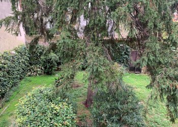 Foto 23 - Casa indipendente Mantova - foto 23