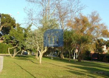 Foto 15 - Casa semi indipendente via di Colle Romito, Ardea - foto 15