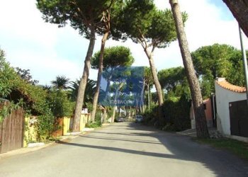 Foto 16 - Casa semi indipendente via di Colle Romito, Ardea - foto 16