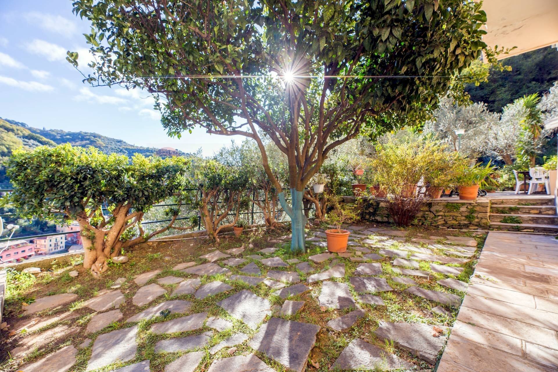 Giardino - Trilocale Sori - foto 1