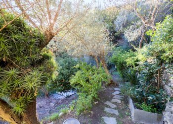 Giardino - Trilocale Sori - foto 55