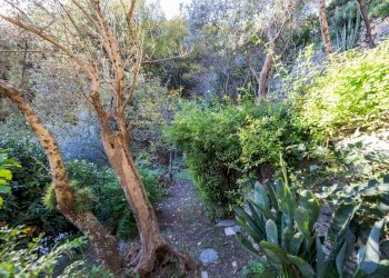 Giardino - Trilocale Sori - foto 58