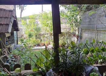 Giardino - Trilocale Sassello - foto 3