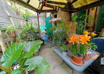 Terrazza - Trilocale Sassello - foto 4