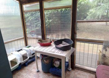 Balcone - Quadrilocale Sassello - foto 8