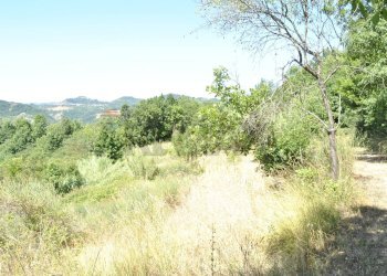 Vista delle montagne - Rustico Loc.Rampino
 
2, Cartosio - foto 11