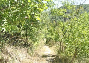 Giardino - Rustico Loc.Rampino
 
2, Cartosio - foto 12