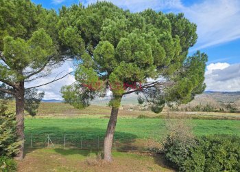 Foto 33 - Rustico Roccastrada - foto 33