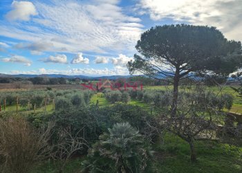 Foto 35 - Rustico Roccastrada - foto 35