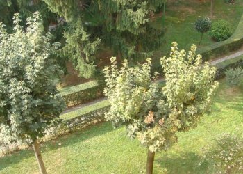 Giardino - Three-room apartment via Val Trompia, 84, Milano - photo 6