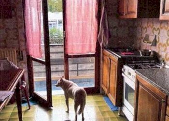 Cucina - Trilocale all'asta via Tre Scalini, 3, frazione San Massimo, Rapallo - foto 5