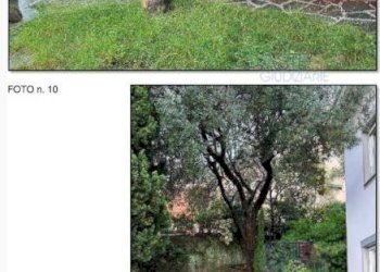 Giardino - Villa all'asta via Alfonso Mezzano, 5, Pieve Ligure - foto 5