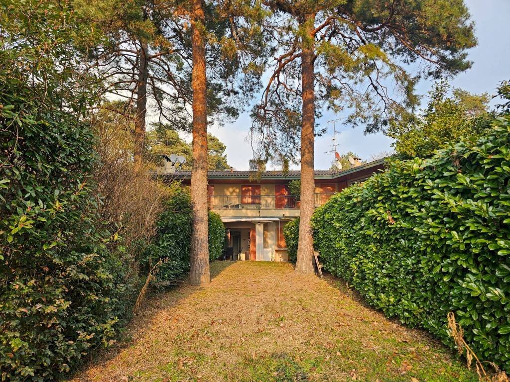 Giardino - Trilocale via al Poggio, Luvinate - foto 2