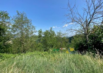 23.jpg - Terratetto - Terracielo SP54 109, Medesano - foto 4