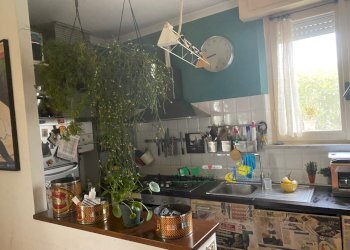 55.jpg - Casa indipendente Via Giosuè Carducci 3, Medesano - foto 6