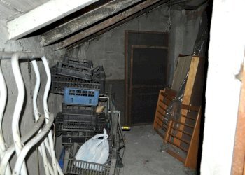 DSC_0028.JPG - Quadrilocale BORGO SORGO 12, Parma (zona Oltretorrente) - foto 22