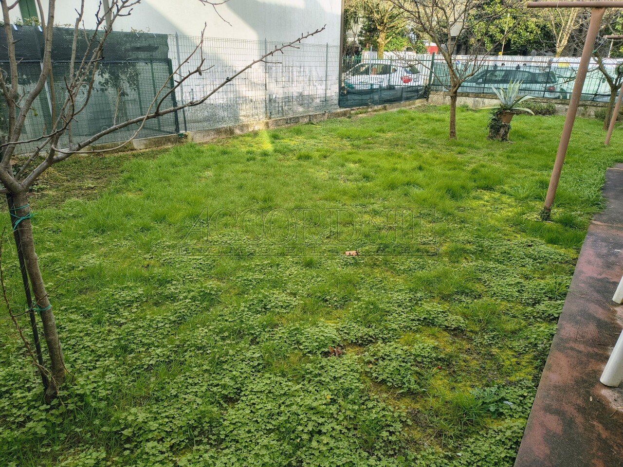 IMG_20260210_094808446_HDR~2.jpg - Villa Via Lepanto 13a, Padova - foto 1