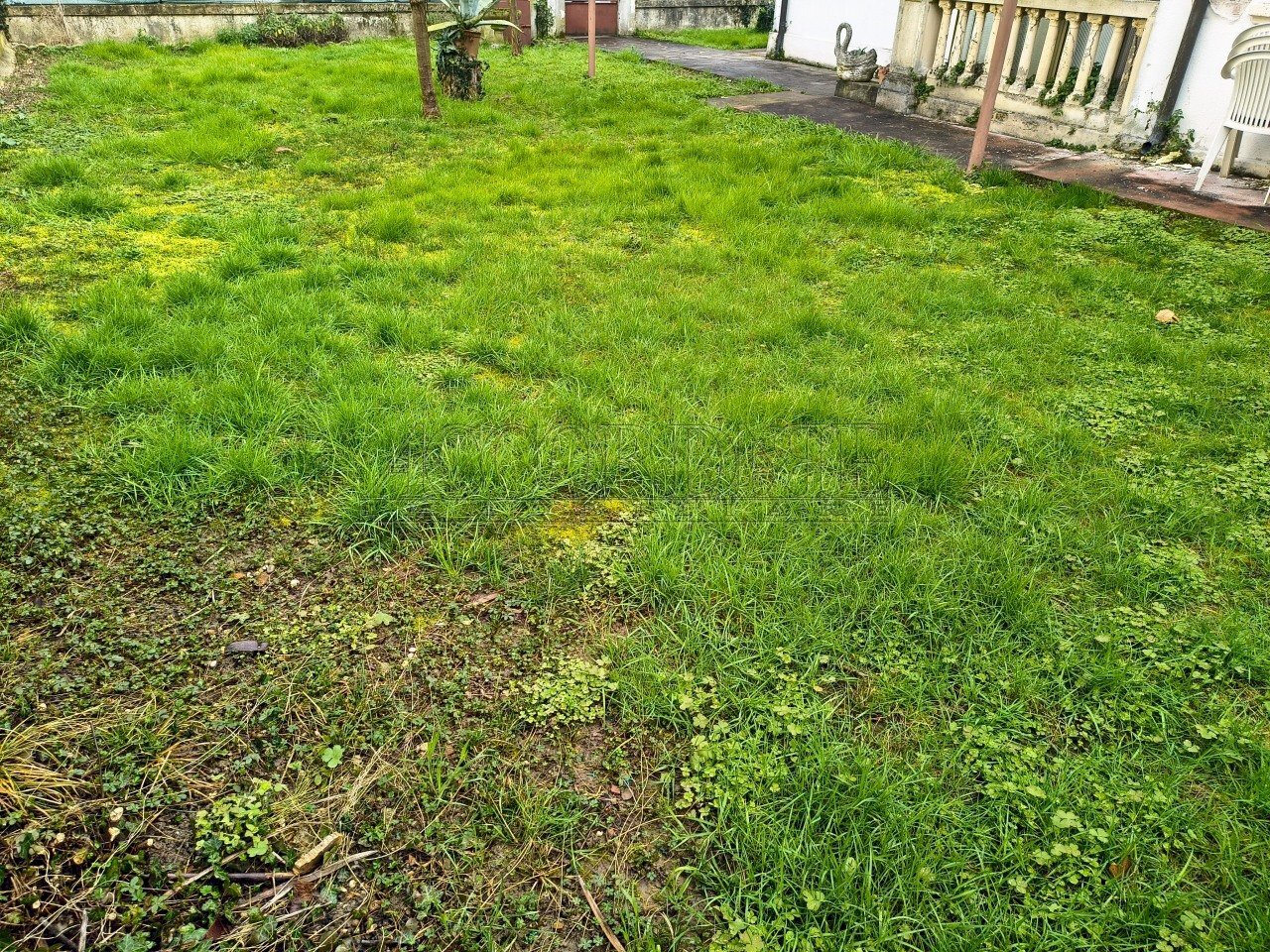 IMG_20260210_094833239_HDR.jpg - Villa Via Lepanto 13a, Padova - foto 3