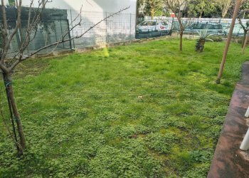 IMG_20260210_094808446_HDR~2.jpg - Villa Via Lepanto 13a, Padova - foto 1