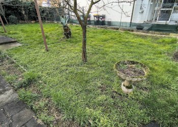 IMG_20260210_094921863_HDR.jpg - Villa Via Lepanto 13a, Padova - foto 2