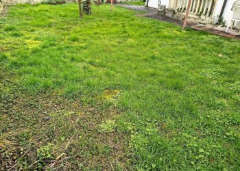 IMG_20260210_094833239_HDR.jpg - Villa Via Lepanto 13a, Padova - foto 3