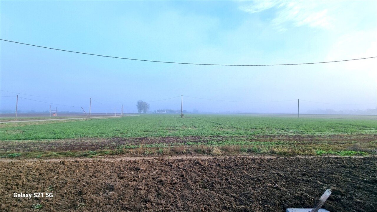 20231115_090712.jpg - Porzione di casa Strada Martinella 221, Parma - foto 1