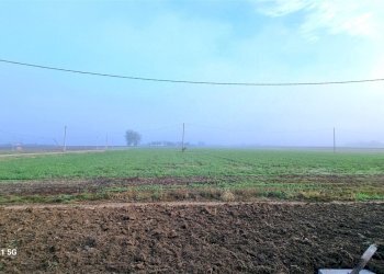 20231115_090712.jpg - Porzione di casa Strada Martinella 221, Parma - foto 1