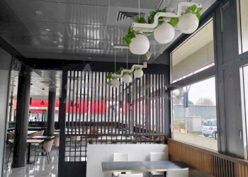 IMG-20260206-WA0018.jpg - Ristorante Rovigo RO, Rovigo - foto 13