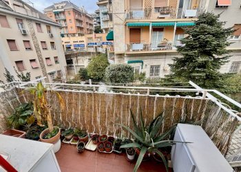 IMG_8653.jpg - Appartamento Via Riese 20, Genova (zona Albaro) - foto 23