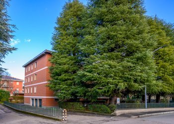 DSC_1960.jpg - Bilocale Via Aldo e Carlo Bettini, Sasso Marconi - foto 29