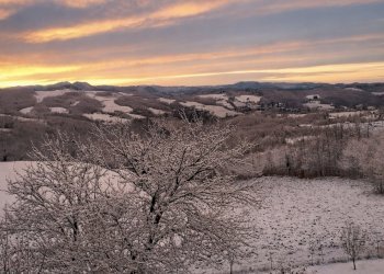 Foto 22-12-25, 20 21 54 (2).jpg - Terratetto - Terracielo via La Torre, San Benedetto Val di Sambro - foto 14