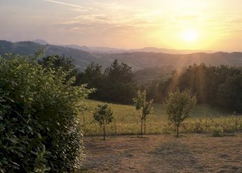 Foto 22-12-25, 20 21 54 (1).jpg - Terratetto - Terracielo via La Torre, San Benedetto Val di Sambro - foto 15