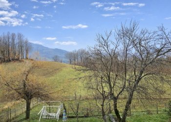 AED22461-64CD-4525-B036-6FD26FDD9E42.jpg - Terratetto - Terracielo via La Torre, San Benedetto Val di Sambro - foto 16