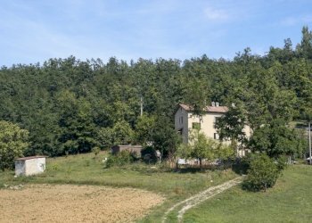 Foto 21-12-25, 15 04 48.jpg - Terratetto - Terracielo via La Torre, San Benedetto Val di Sambro - foto 19