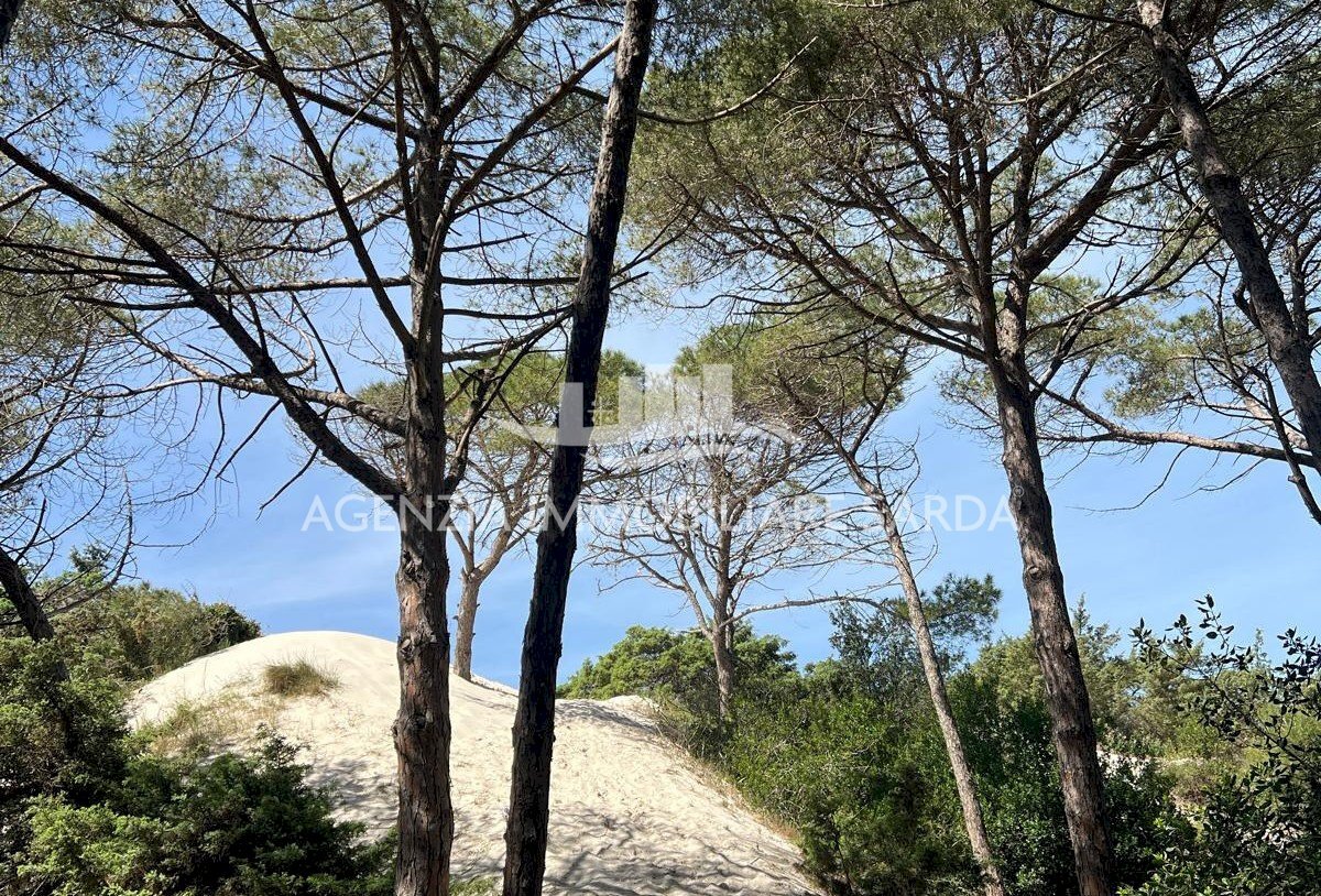 WhatsApp Image 2025-12-16 at 14.46.26 (4).jpeg - Three-room apartment Alghero - photo 1