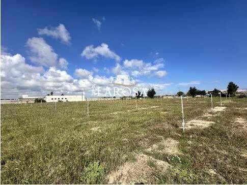 2.jpg - Agricultural land SP145 6, Melendugno - photo 2