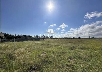 1.jpg - Agricultural land SP145 6, Melendugno - photo 1