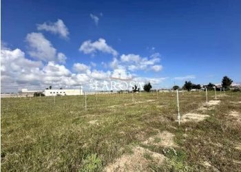 2.jpg - Agricultural land SP145 6, Melendugno - photo 2