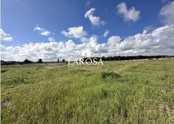 3.jpg - Agricultural land SP145 6, Melendugno - photo 3